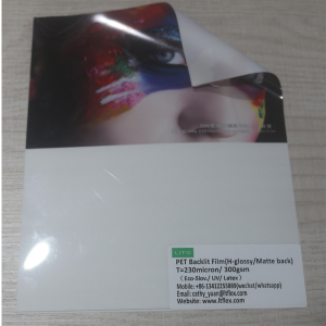 PET Backlit Film(H-Glossy Matte back)